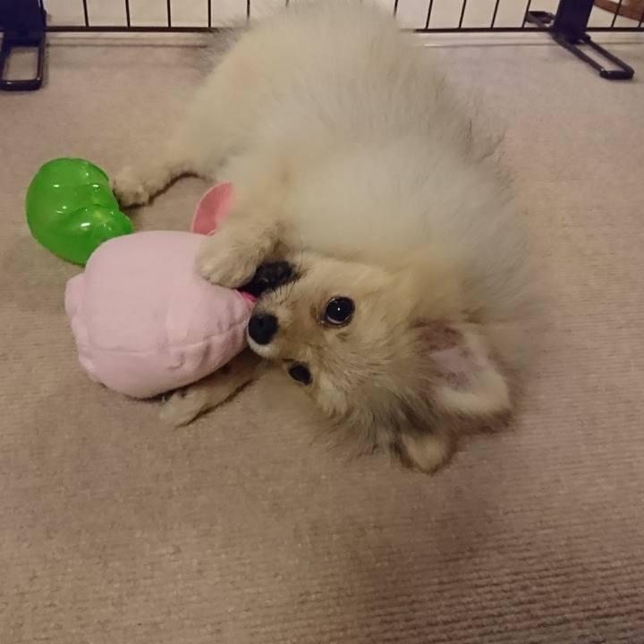 B4177524 1118 4116 9eff 399f0e9f35ba