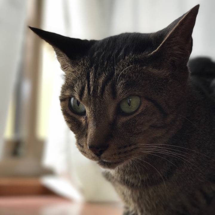 B4177ab9 4e8f 4a77 bb44 8088f818cea1