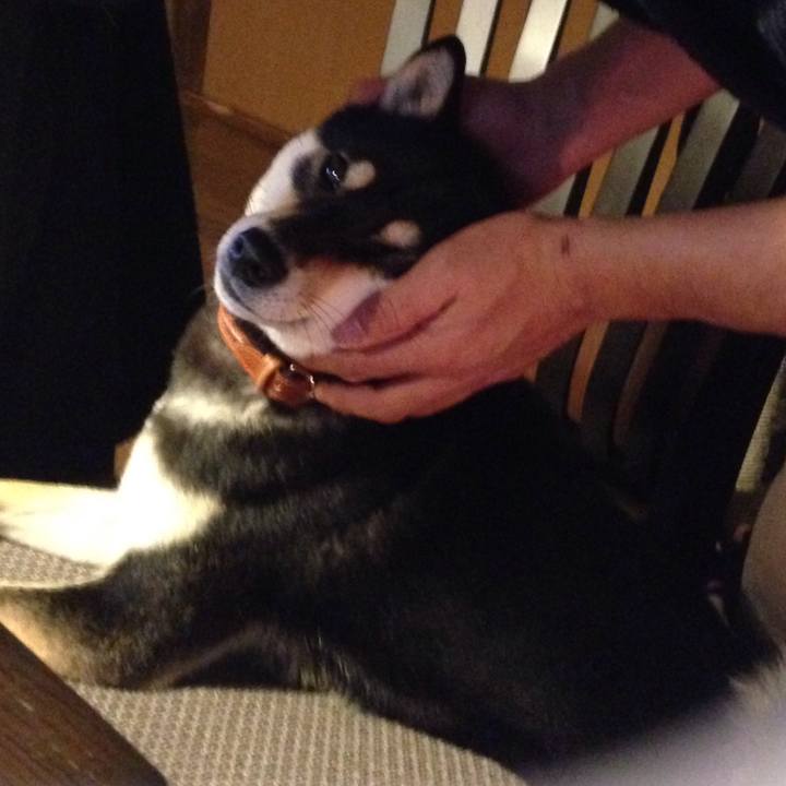 B4182ff2 cbc3 442a 80e1 59ae94f1115b