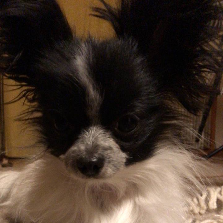 B418c7f0 320b 497a b071 2f42665880e1