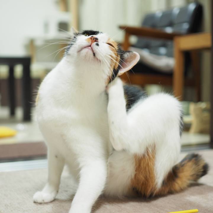 B419997a 7064 4d5b 8cda 5eed3f3196c1