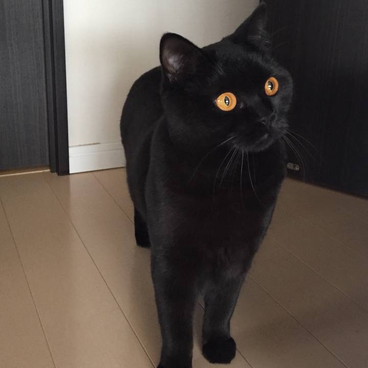 B41a0f16 1aa4 4293 b8bc 80662c2f6c5d