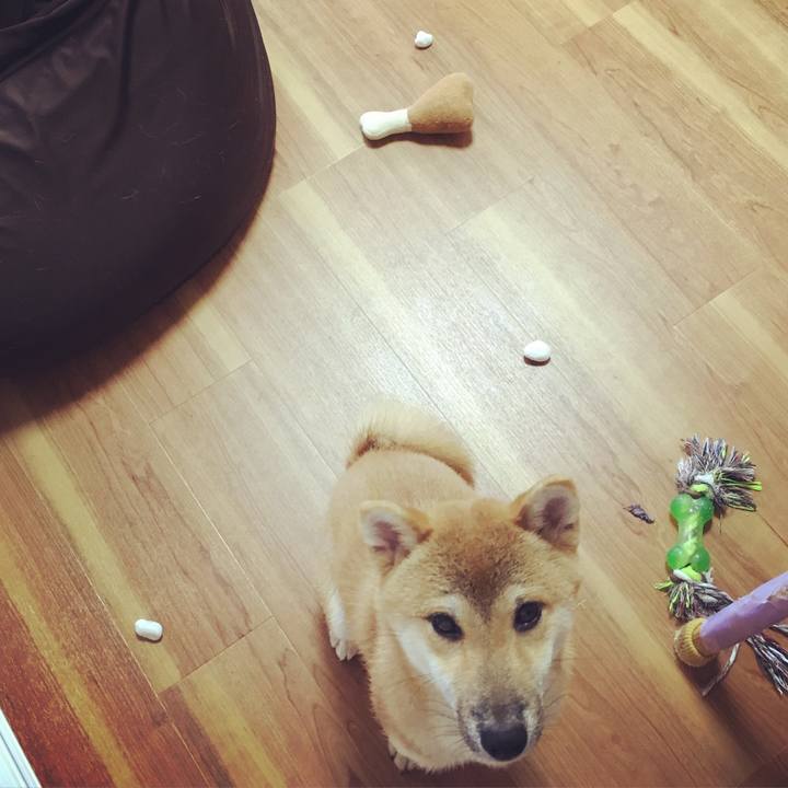 B41addf3 2c3c 40fd 9319 e19e312f5a8d