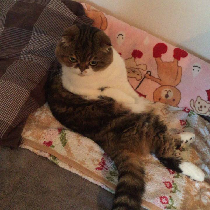 B41b73b9 3cbe 47e7 8307 466d33e53ef9