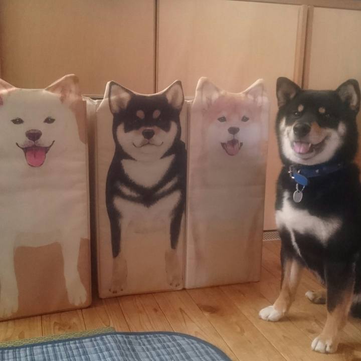 B41f56af 4e07 4b72 9b05 79d5b9b85ef7