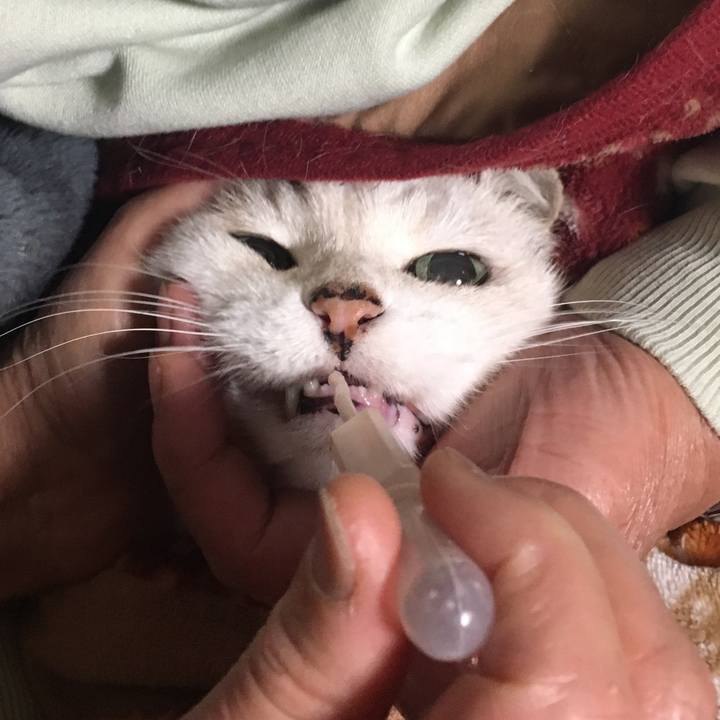 B41f7fc8 c883 458c aa81 dfad44cfe717