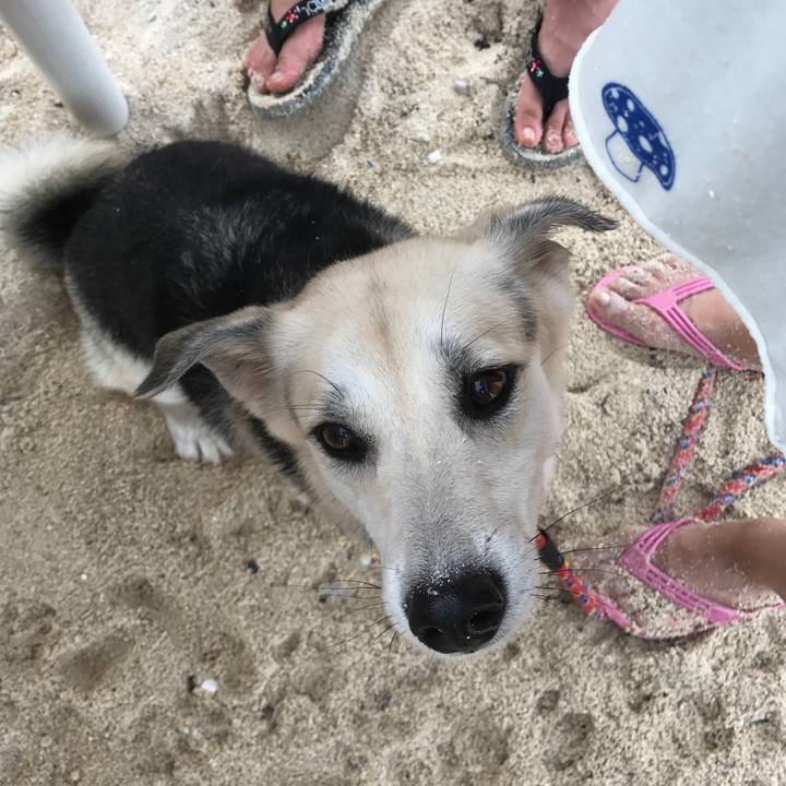 B41fb30b 9604 4488 8139 31bbac30f9ef