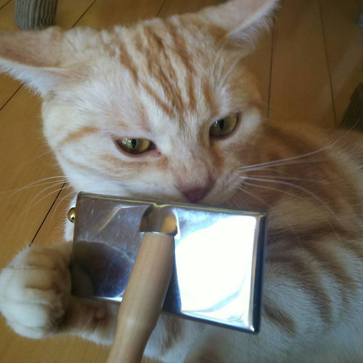 B41fbb09 a5ca 4e4f a781 6c1d0baa2e13