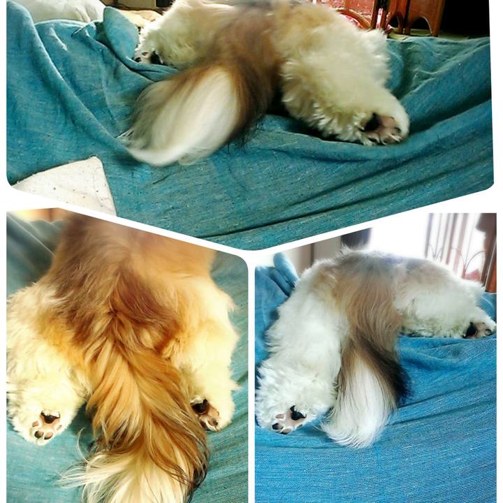 B41fc29d 42a6 4fe3 87d2 e5d1c140e087