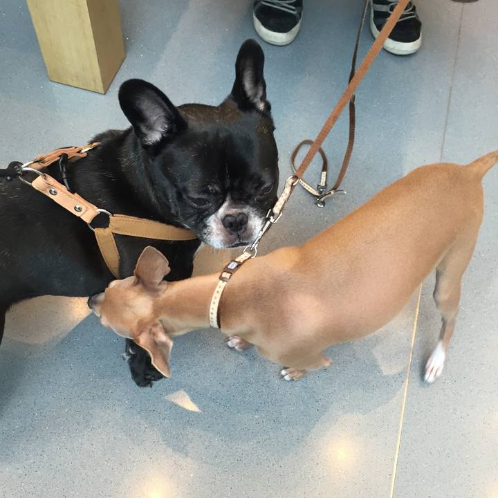 B41ff125 bf8e 46a3 b02d e67c1cc361d6