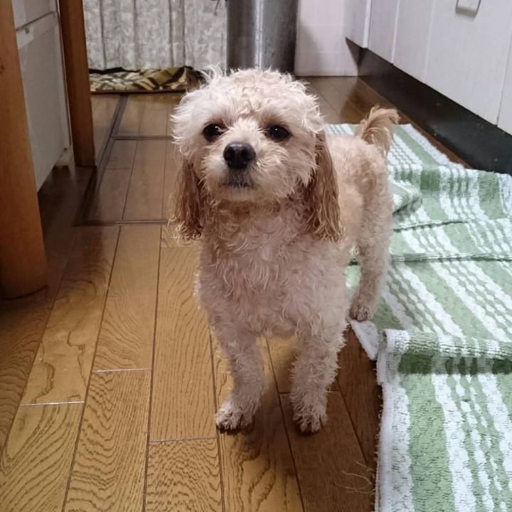 B41ff3af eef7 4f0a b103 de69b84f5707