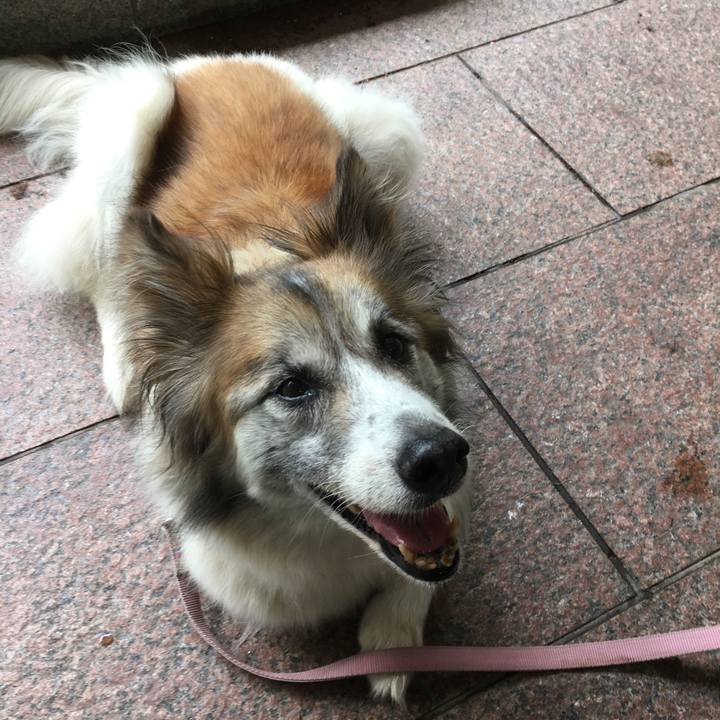 B420ad64 ed53 4b85 85b0 d1c70c0b9a97