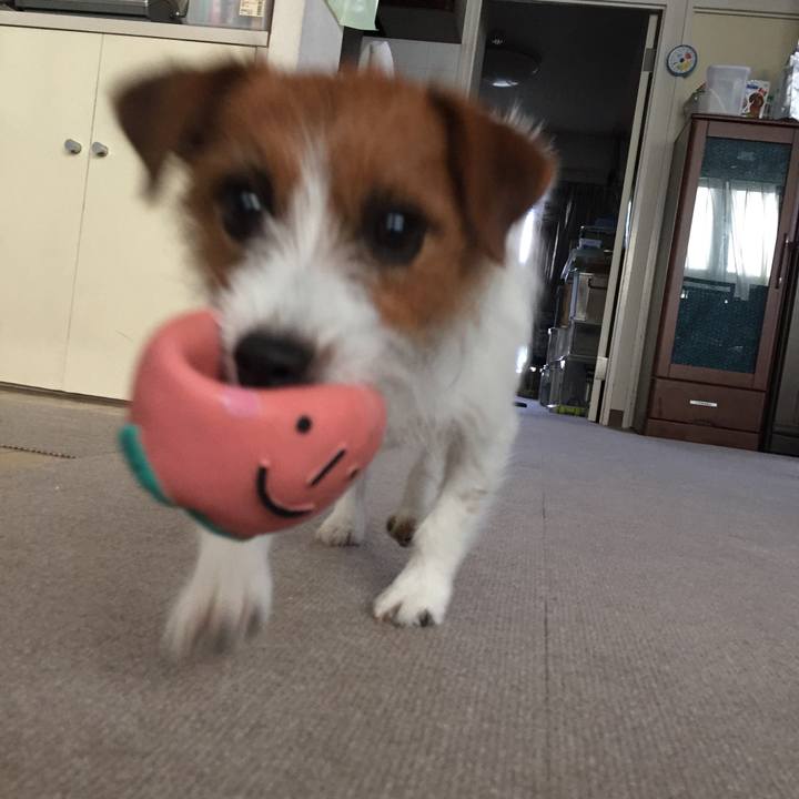 B421a2bc ed6b 4e61 b907 bf5f0473f14c