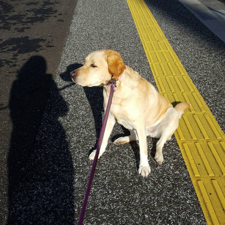 B421b7c2 d039 4b40 b9f8 df38e32deaa2