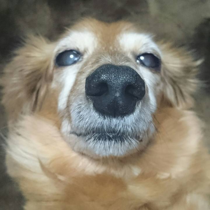 B421d122 470e 42a0 a9d7 9765e5dffad5