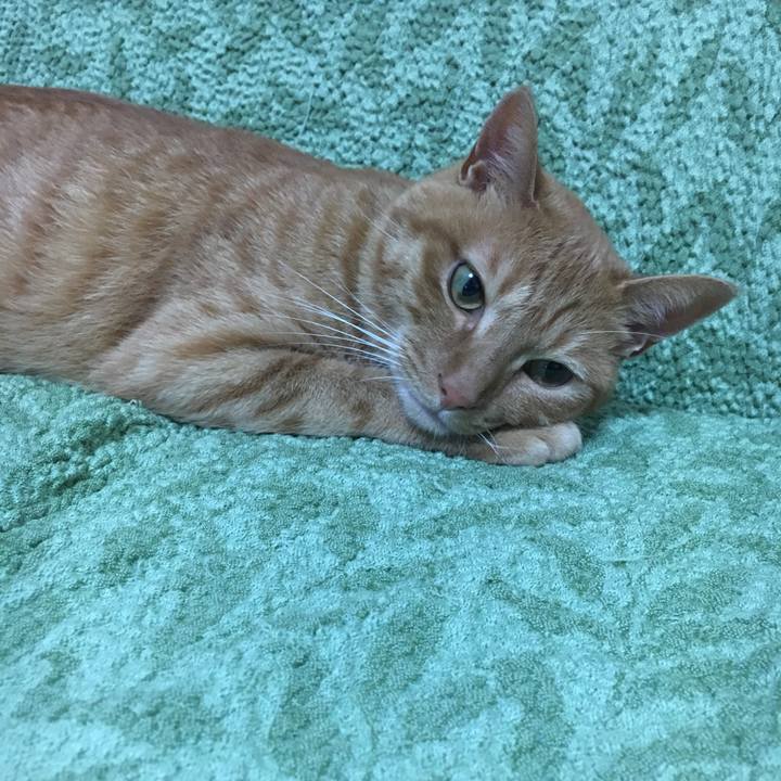 B421e237 d1da 4906 b905 b0754ffde782