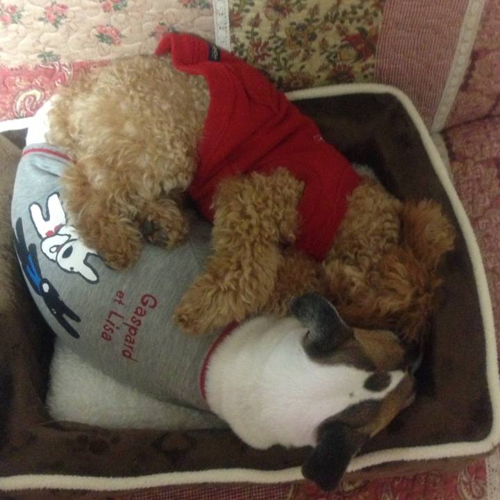 B42353a3 da35 4326 87bb 51bb9e8e0a2a