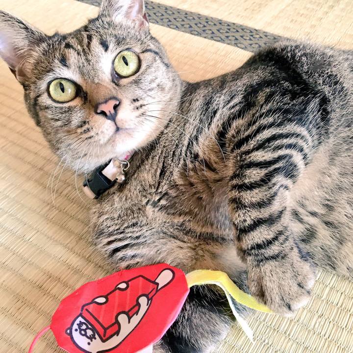 B423c13f ee65 453a 828d 554caadd2340