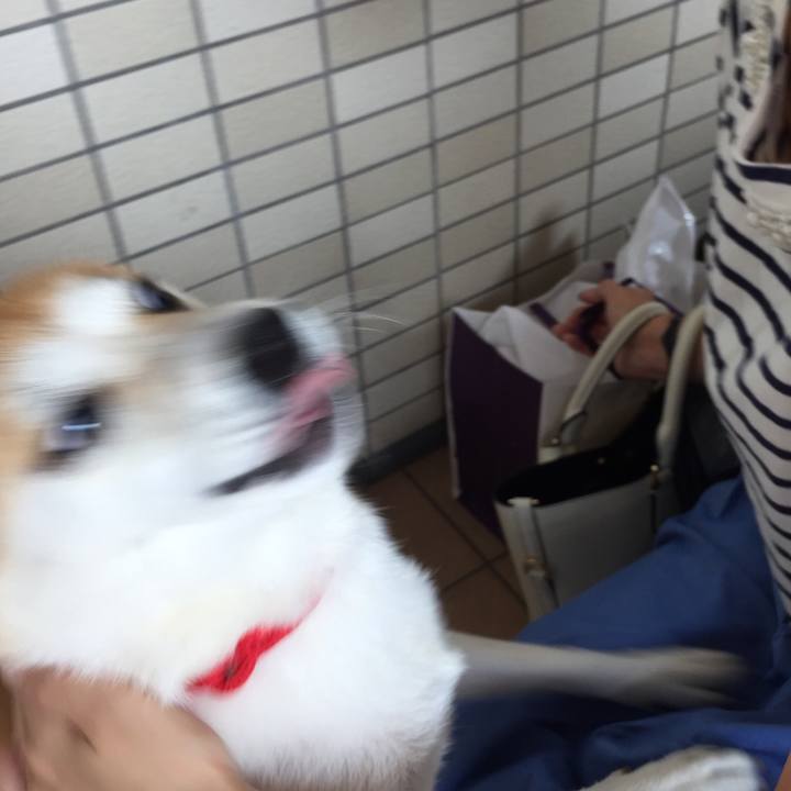 B424b641 8e0b 4350 b42c 6b43403fee52