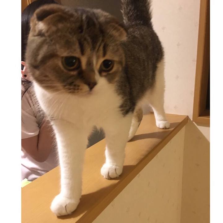 B425ac61 7a14 4164 8cdf 536dff4910b5