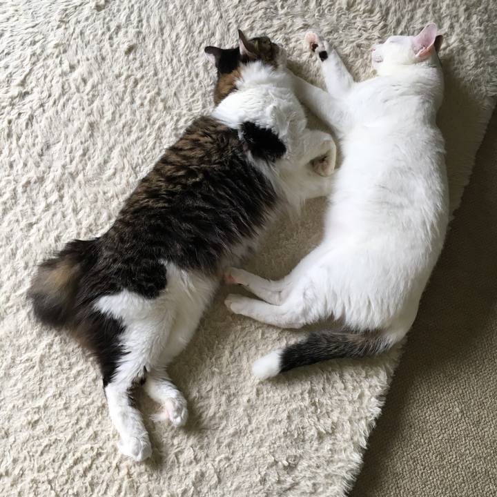 B425b882 dd68 497c a0d9 898ebf37a712