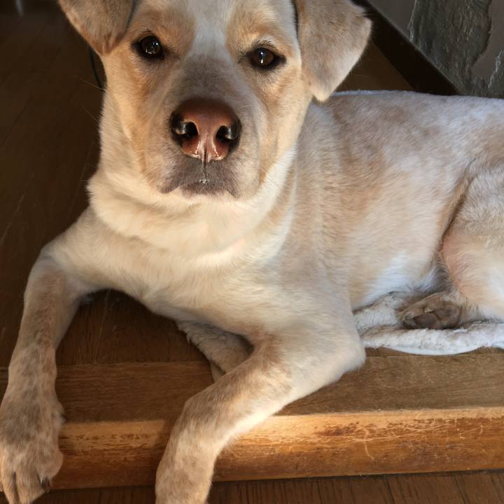 B425e9a6 db14 42fc bf30 53eb556bcf7a