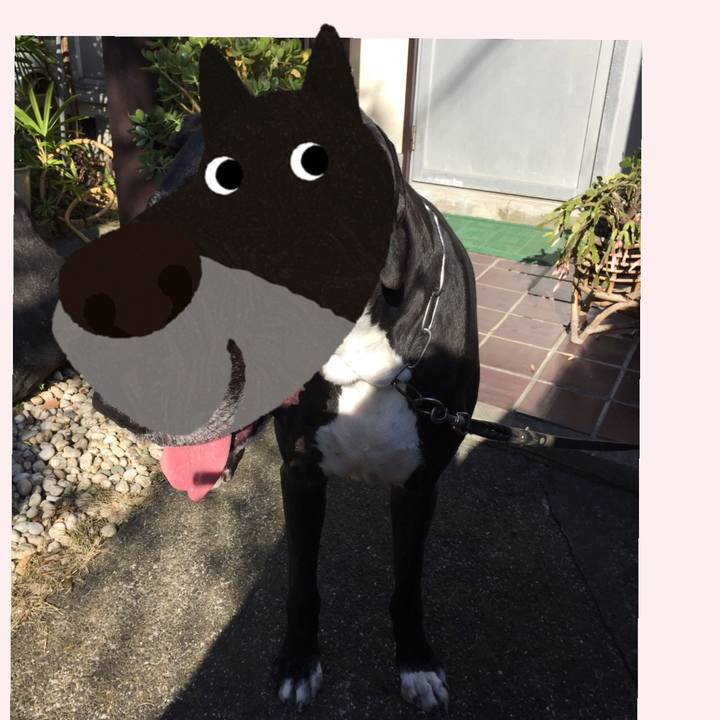 B4262e7f f457 4cc5 b0f4 258b8613450b