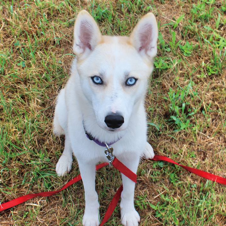 B4264621 3662 4b7c aadf 93df36ba6926