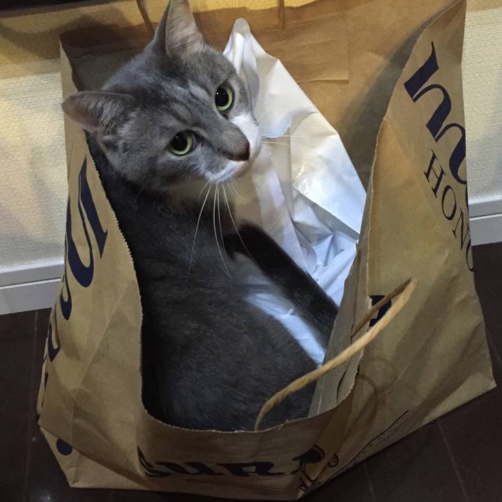 B4266956 f542 432d 8de5 0b409a6f7099