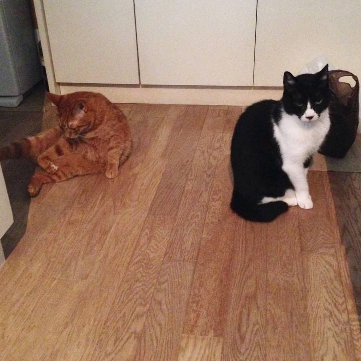 B4267688 cada 4706 b521 00e49a17e60e