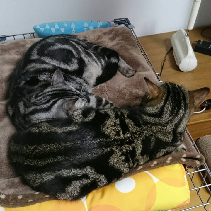 B427c114 8d32 4ea8 a3f8 5b7c95df0270