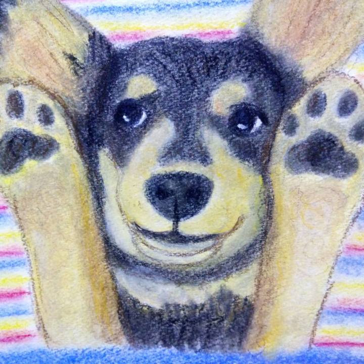 B427ca60 527e 4253 b72c 77974e7357eb