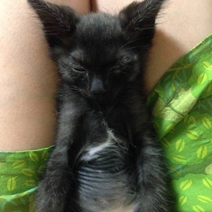 B427d716 1bca 47bf bdf2 bb61cbd0816a