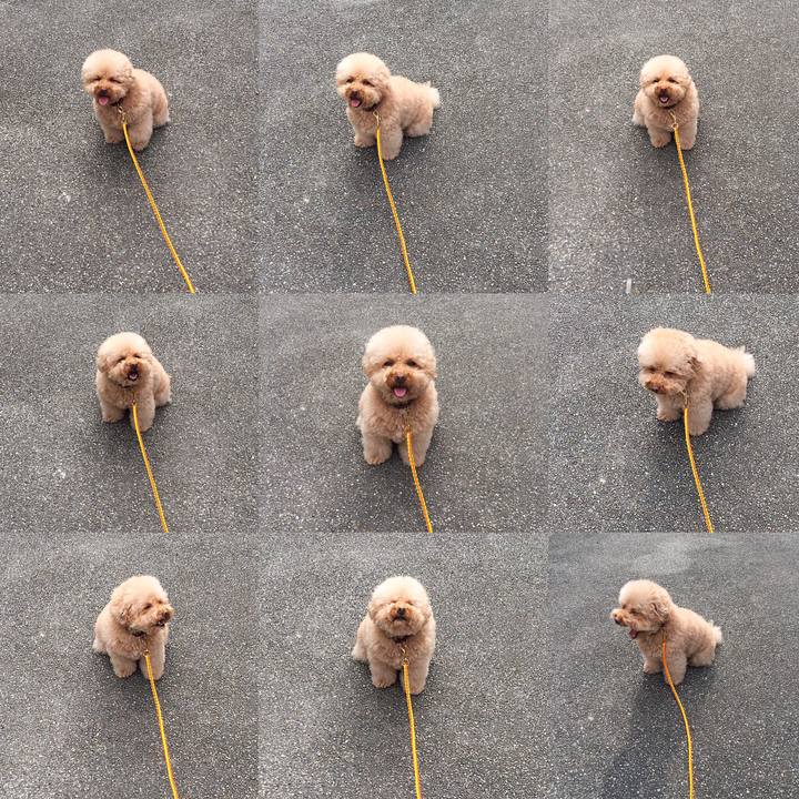 B42848c2 62b9 4516 b5a4 9527f02b7b78