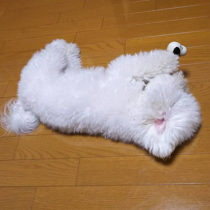 B4291d50 e32f 4793 bce5 7903ff0a4850