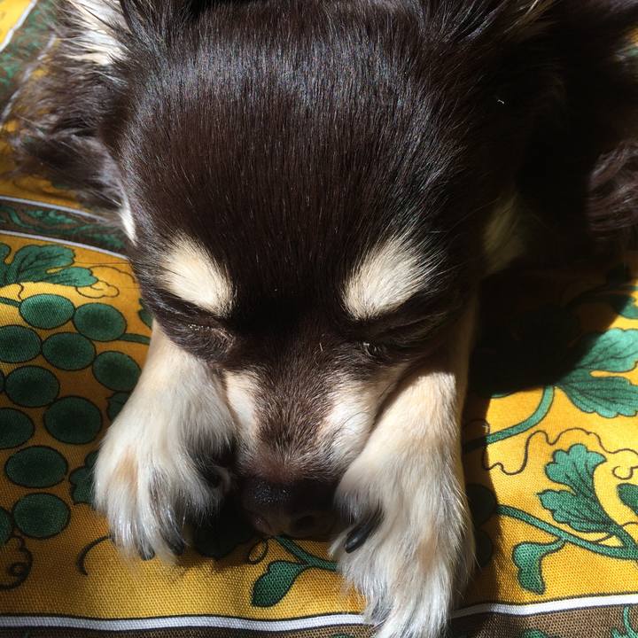 B42936cb 2e38 4aa1 b707 bac0cfc95f39