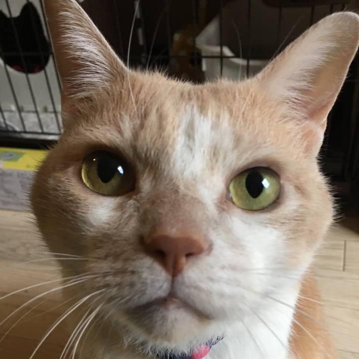 B4299308 6cb1 4f80 95ed db7a6748fa49