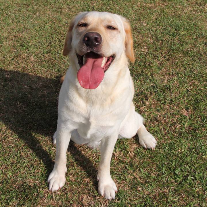 B429daaf 2dbb 49b7 b6e3 7bf6c6cc3f6d