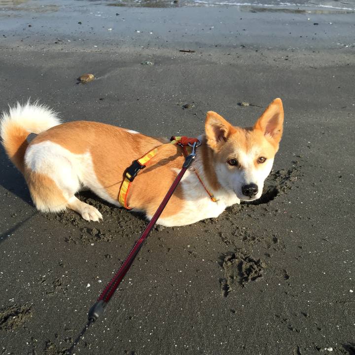 B42a0fa8 fefc 477a 9d00 17838997b014