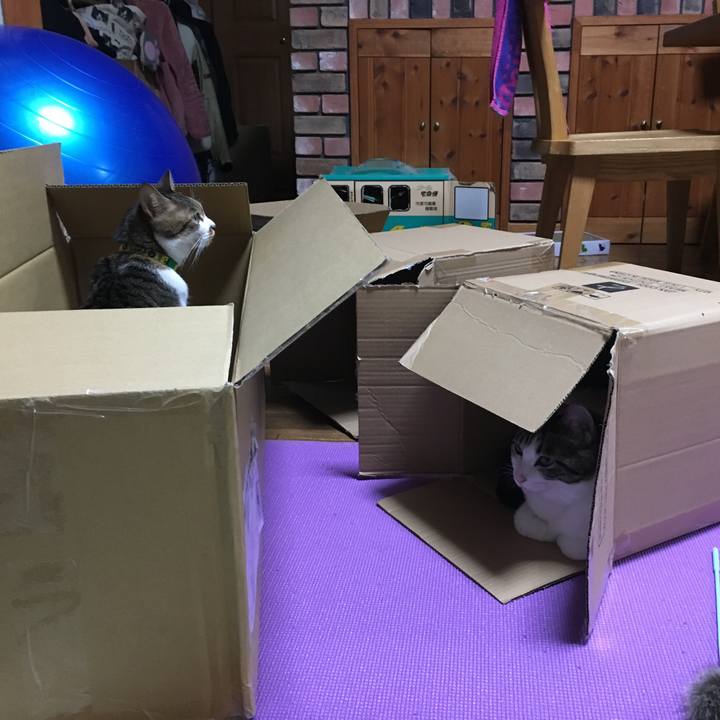 B42a4c39 c22e 4664 8d19 68750e96708a