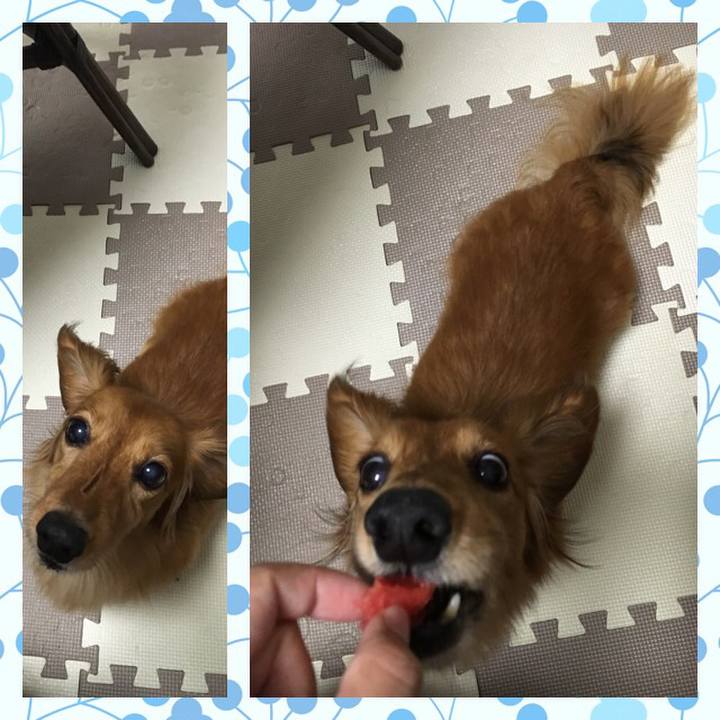 B42a5f57 929c 4964 992f d89ee46c8f03