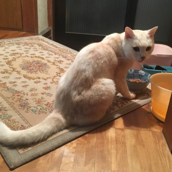 B42a7cfc 7ff4 43ba 80c0 16e85e199d64