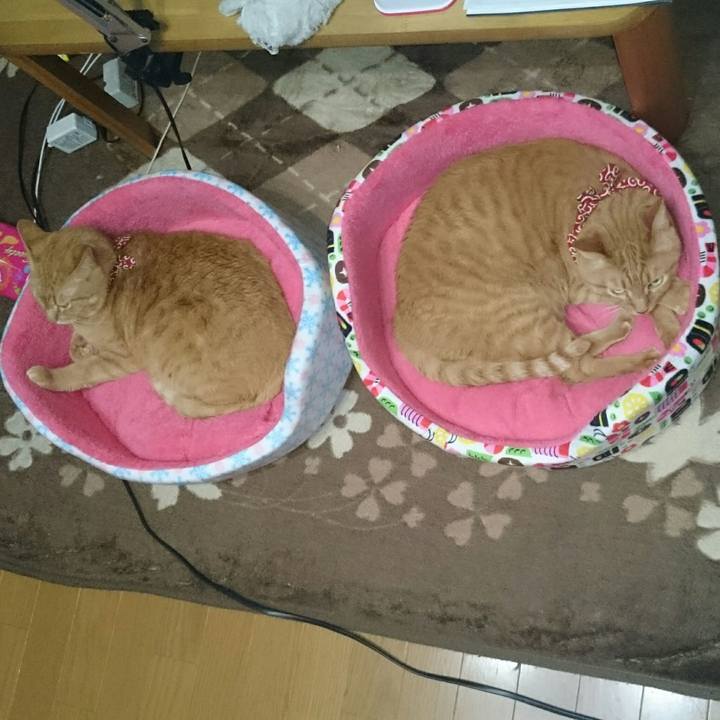 B42af6a3 f75b 4abc acc1 2f1a8cd922ae