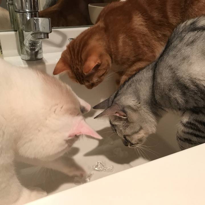 B42b603b 26ad 46e6 bb4c 33860b83be5c