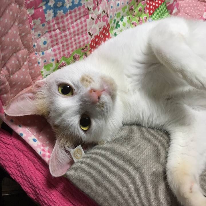 B42b7f78 b702 45f2 8218 dcd4958444bf