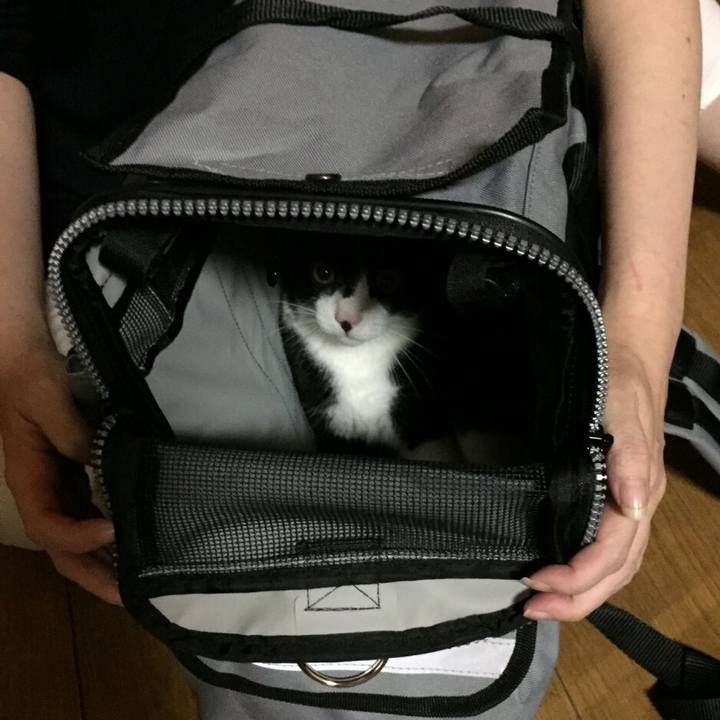 B42bc987 d9fe 4c5f 8bfb e621cf493665