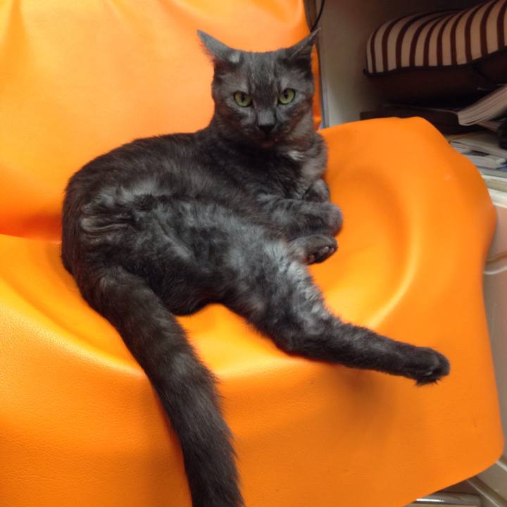 B42c4f04 9094 4829 9d66 bfd15eb4c31e