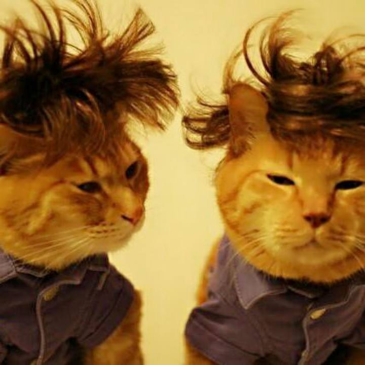 B42cbd7a f393 4e2f a9ef 12657c6b9cde