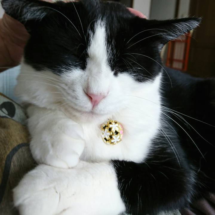 B42d2c59 6776 4197 8ef5 93b34709a20f