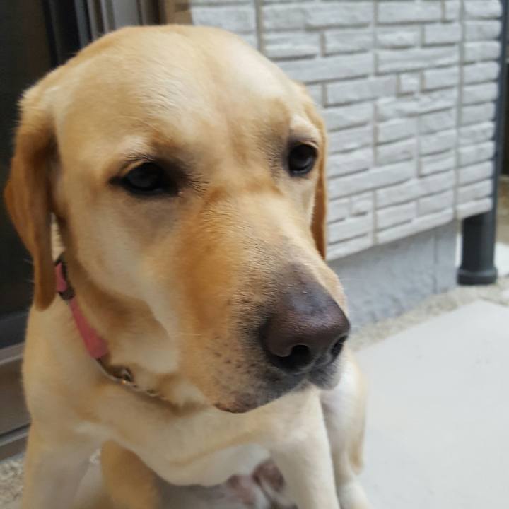 B42d5afc 90b3 4995 a56f 91d28697fa5c